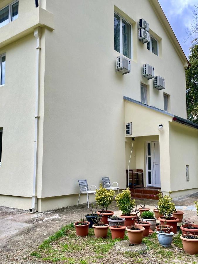 Apartments Lav Котор Екстер'єр фото